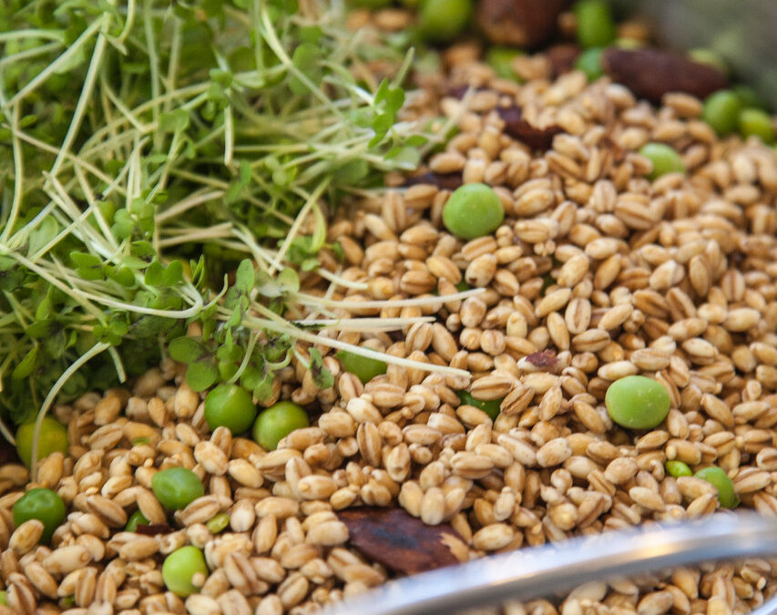 7000 años comiendo sano: una mirada al pasado para afrontar el futuro