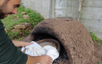 The Society for Archaeological Sciences Charles K. Kolb Award 2022