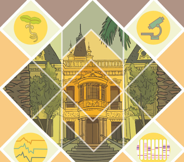 Ganadores Desgranando Cómics IV